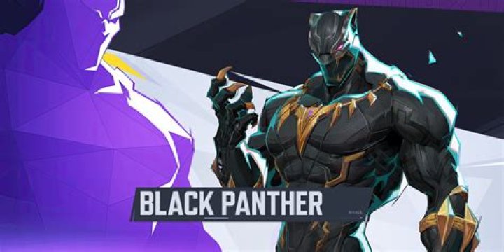 
Black Panther sales in China explored as Marvel confirms Black Panther 2, Ant-Man 3 release dates in the country 