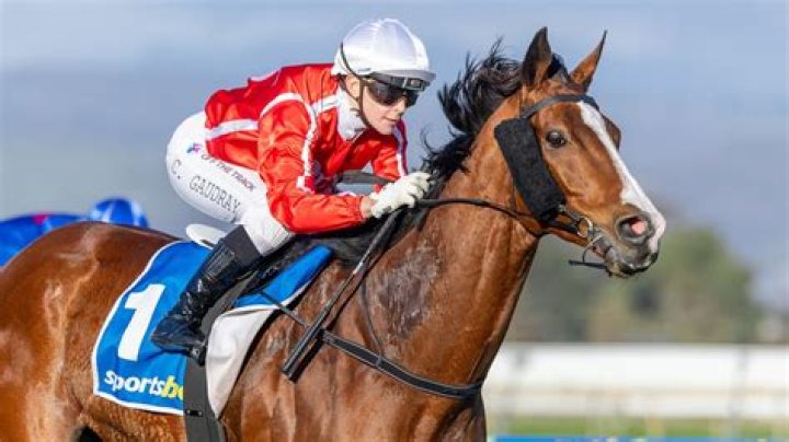
Celine Gaudray Age, Birthday, Wikipedia, Who, Nationality, Biography 