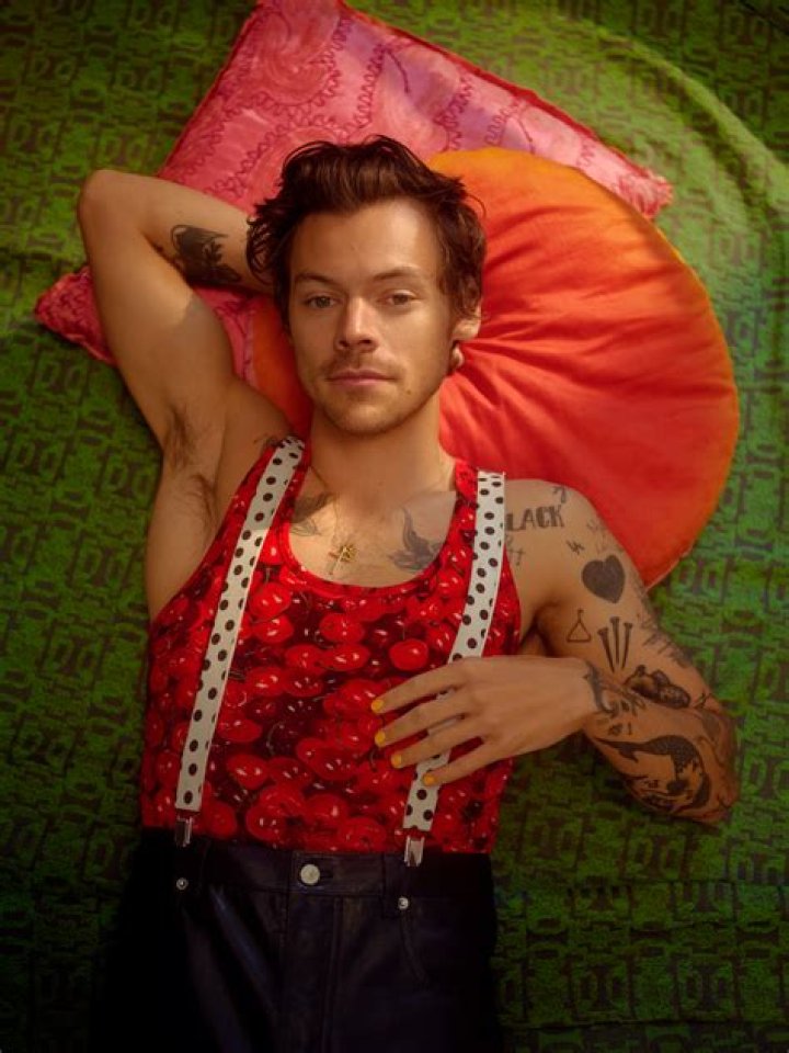 
Harry Styles Stops Show After Fan Throws Nuggets On Stage 