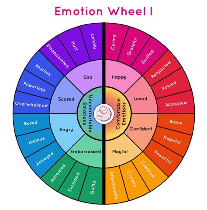 
What Human Emotion Am I Quiz? Test De Sentimientos Humanos TikTok 