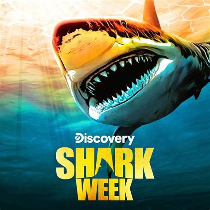 Where Is Dickie Chivell From Shark Week From? Background Story And More