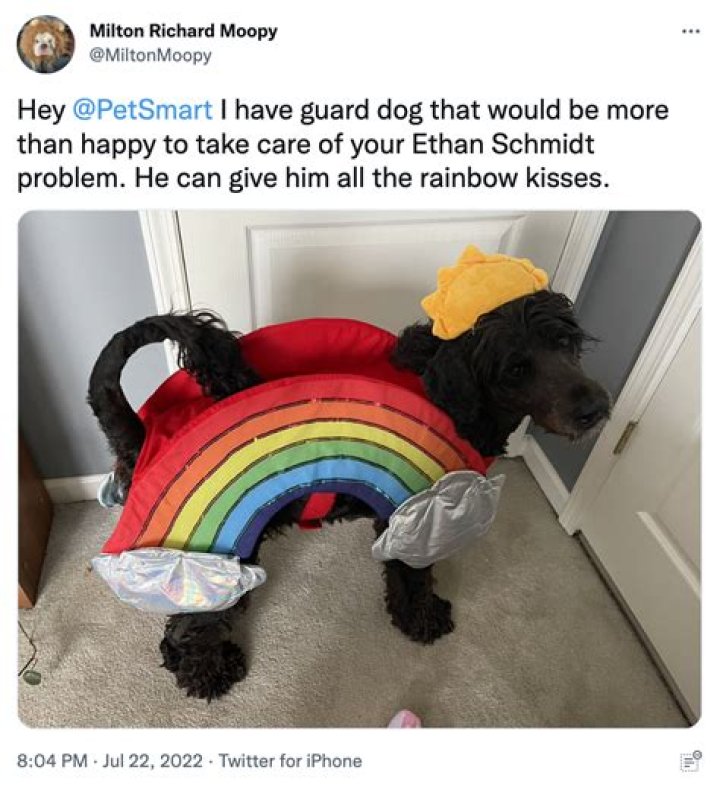 
Who is Ethan Schmidt ? PetSmart employees refuse to take down pride flag after being harassed by homophobic customer in viral video 