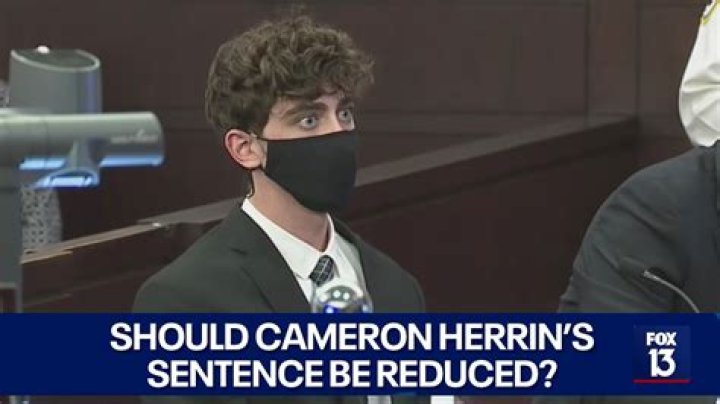 
Who Is John Fitzgibbons? Facts On Cameron Herrin Lawyer Before Taking The Stands 