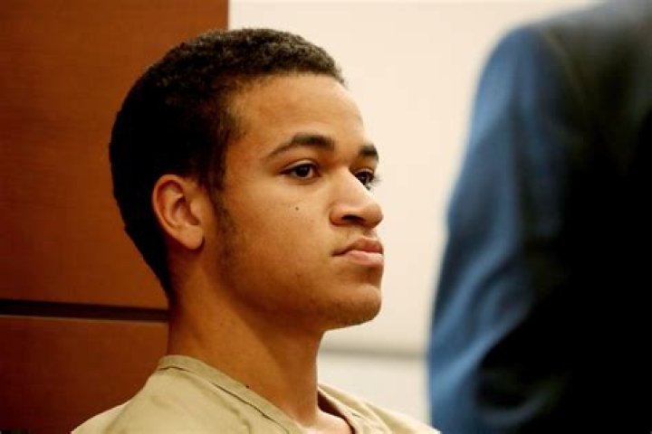 
Who is Zachary Cruz, Nikolas Cruz’s brother? The sole surviving relative of Marjory Stoneman Douglas Shots Fired Suspect 