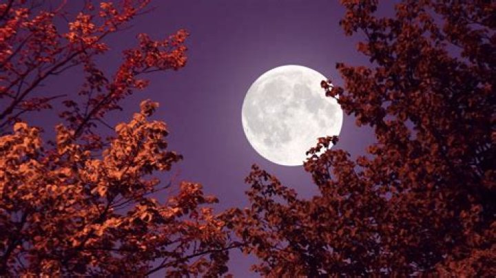 
Why is it called the pink moon? Full moon April 2023 astrological significance revealed 